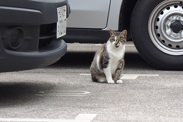 雫がレオ太を見ている