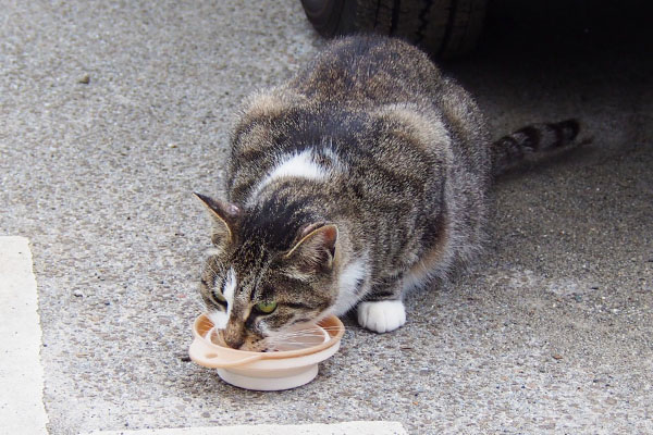 オヤツを食べる雫