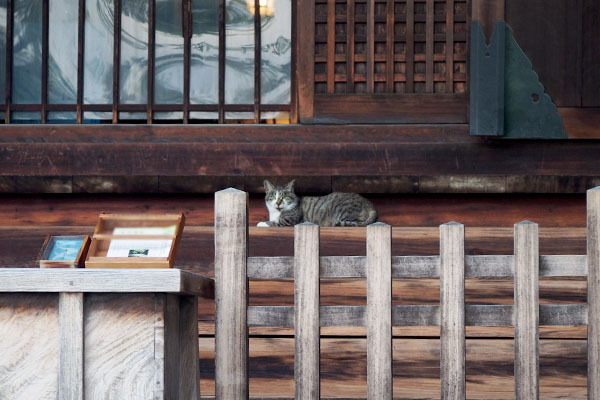 本堂のセンターの雫