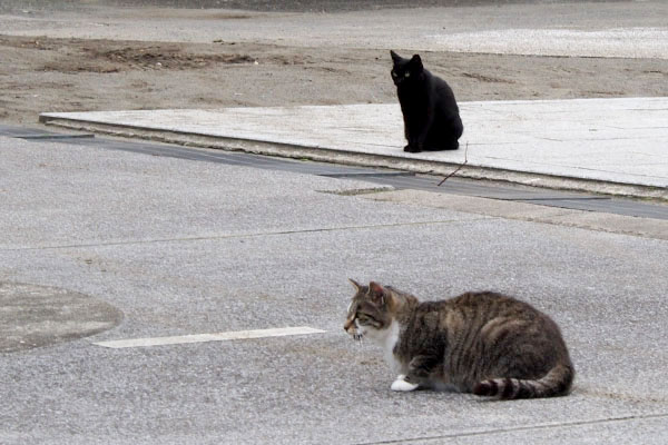 ふたりで見つめる