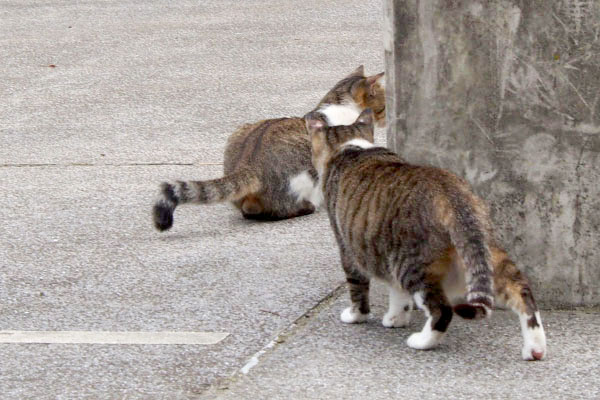 レオ太に接近する雫