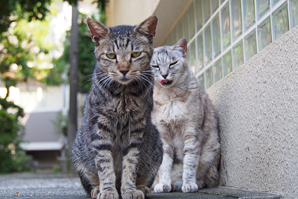 銀ちゃん変な顔