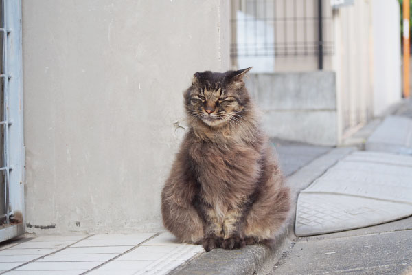 風が吹き抜けるポイント１