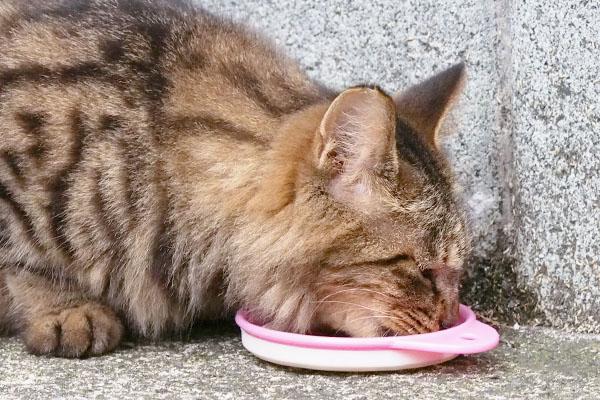 食べるマロンに接近横顔