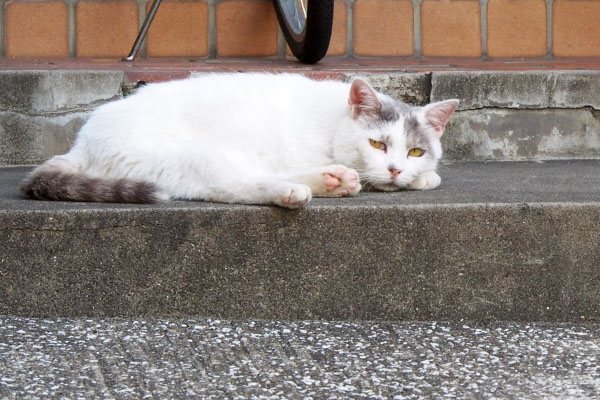 玄関先でほけ～なジュリ全体