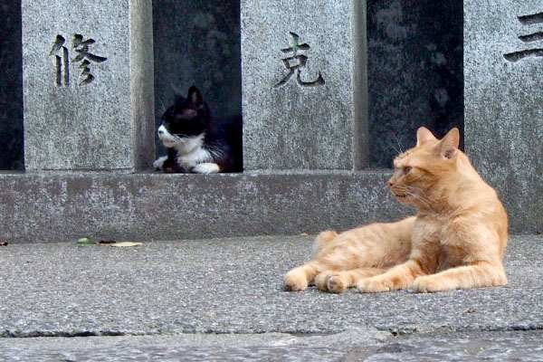 ナチャとカラ入口が気になる