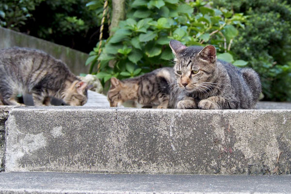 タビワンの背後で食べ続けるふたり