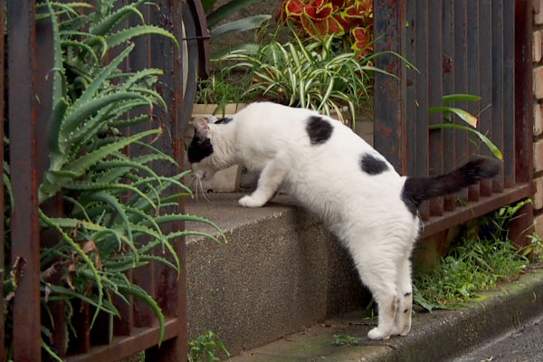 オヤツを置いたよ