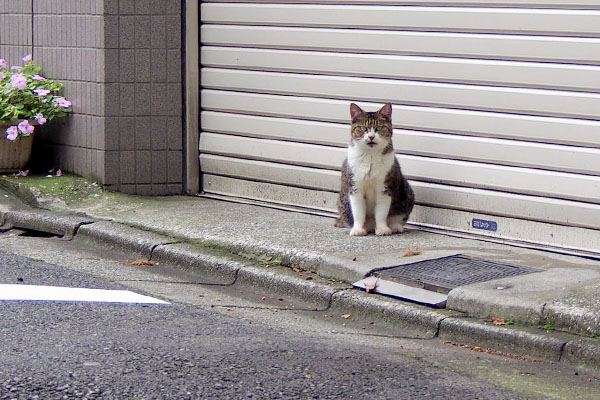 豪邸のガレージ前で