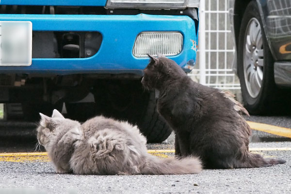 ふたりで同じ方向を見つめる