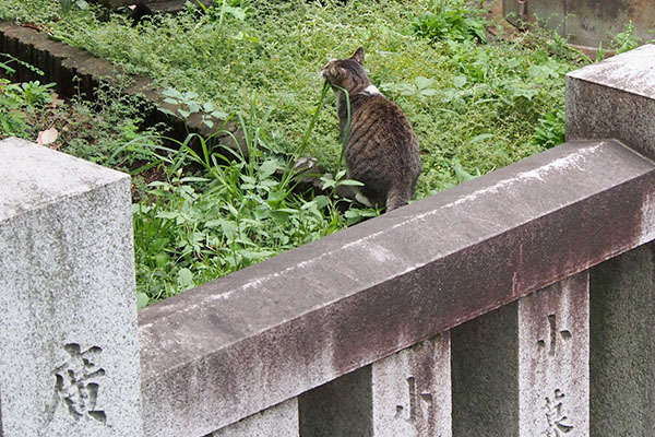 遠くから雫