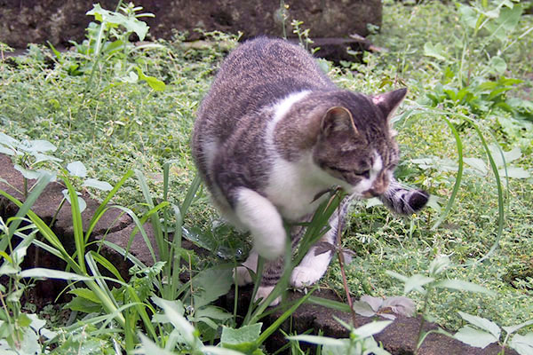 そちらへルート変更