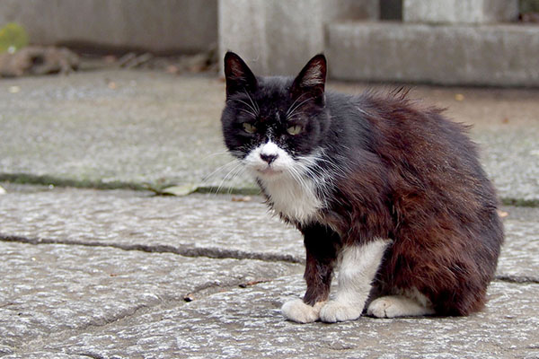 ジッと見るカラ１日目