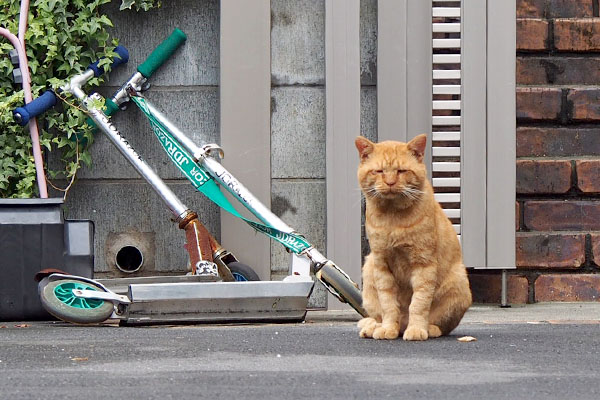 皆から少し離れてコルレ君