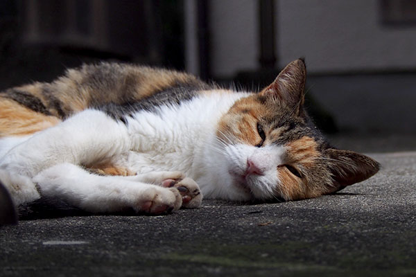 一応見てくれたオトワちゃん