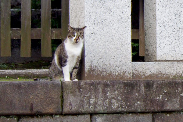 カメラ目線の雫