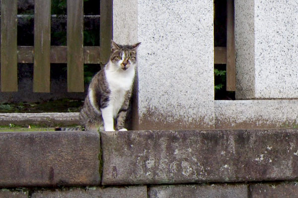 カメラ目線の雫