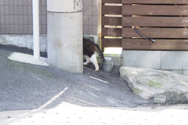 豪邸に向かうマリィの後ろ半分