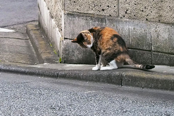 下に降りたオトワちゃん