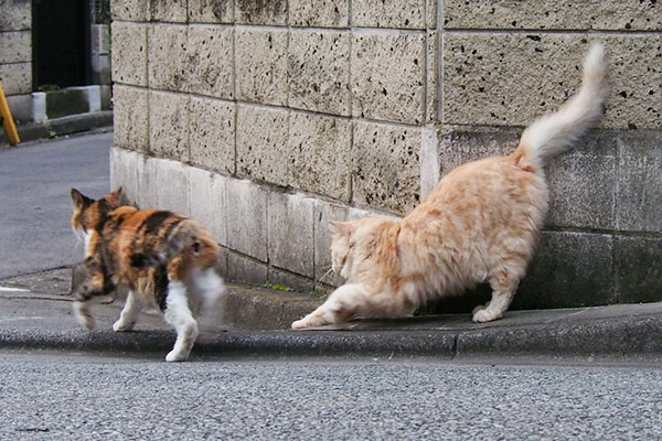 オトワちゃんダッシュナリコ伸び