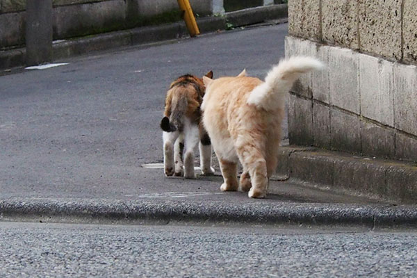 一緒に寝床へナリコアンドオトワ