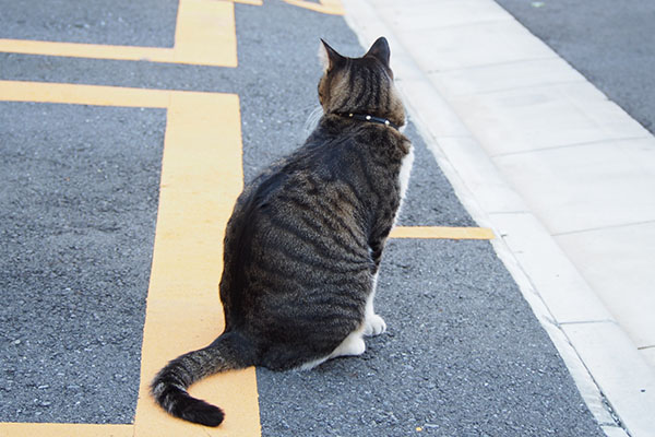 遊んだ後のリオ