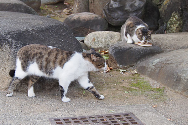 shizuku eating reota comes