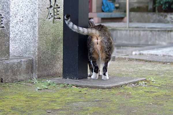 雫のおちり