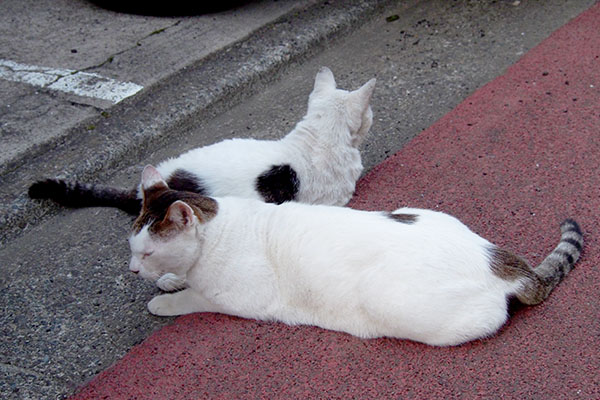 ふたりで道路にはみ出して