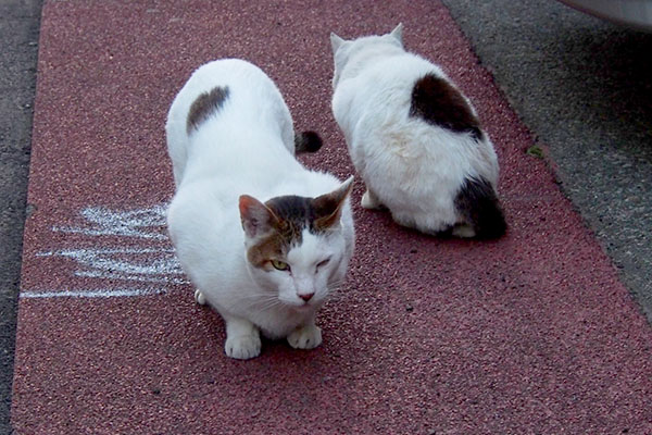 落ち着くふたり