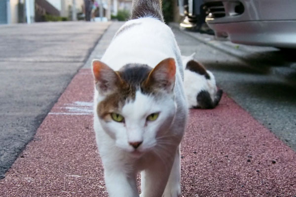 リボンを置いて接近するジェイ