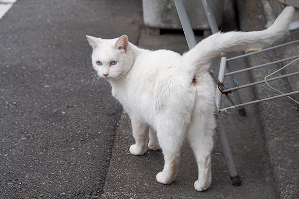 おじぃちゃんが来たのを見る