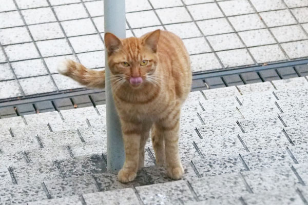 食べ物を連想中のアン