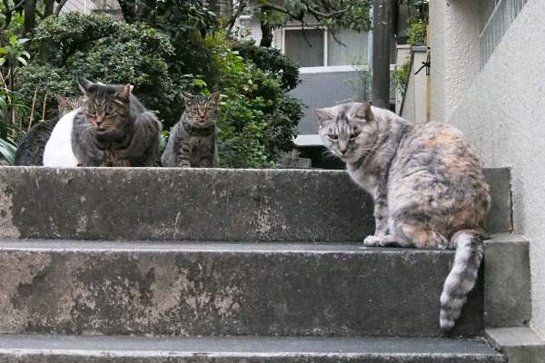 顔が腫れる3日前その１