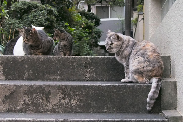 顔が腫れる3日前その２