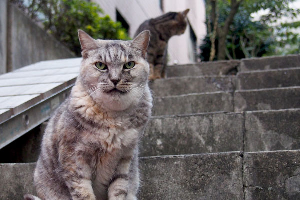 顔がパンパンに腫れている銀