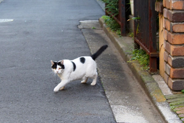 上から降りて来た坊