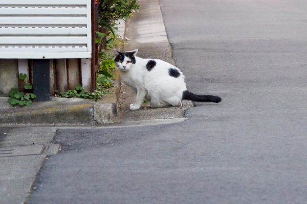 オヤツ進呈してバイバイ坊