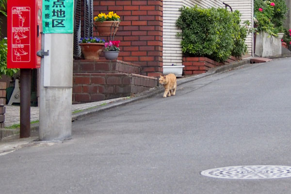 ガレージハウスへ向かうジル