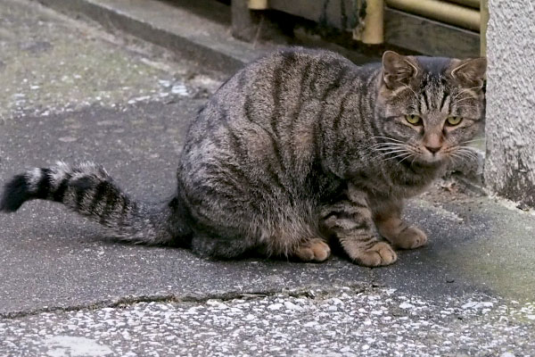 写真もあまり撮れないタビサンク