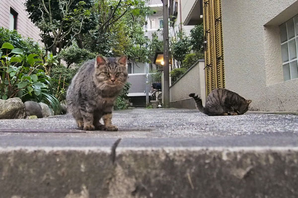 タビゾンヌと後ろにタビサンク