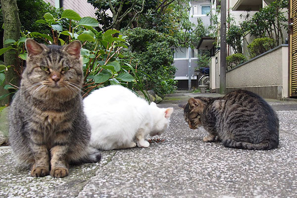 端っこは太って見えるからタビゾンヌ