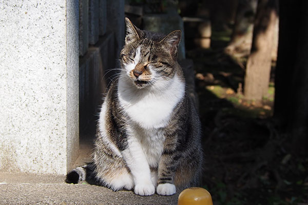 面白い顔の雫