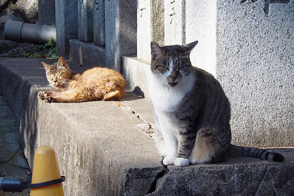 雫とルル１