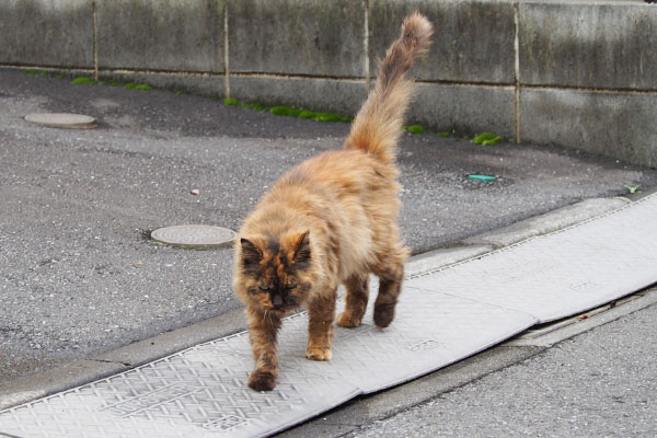 くるっと方向転換チイちゃん