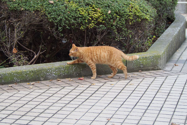 アンの定位置へ