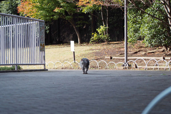 追っ手が来ている