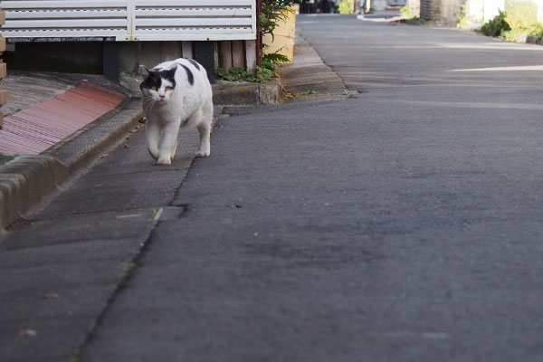 来てくれる坊２