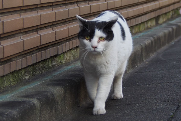 お目メが良い感じの坊