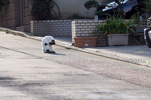 ぽつんとはみ出すジェイ